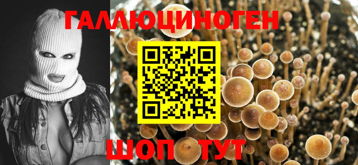 Галлюциногенные грибы Psilocybine cubensis  Псилоцибиновые грибы ЛСД  Вход с VPN  Барнаул 
